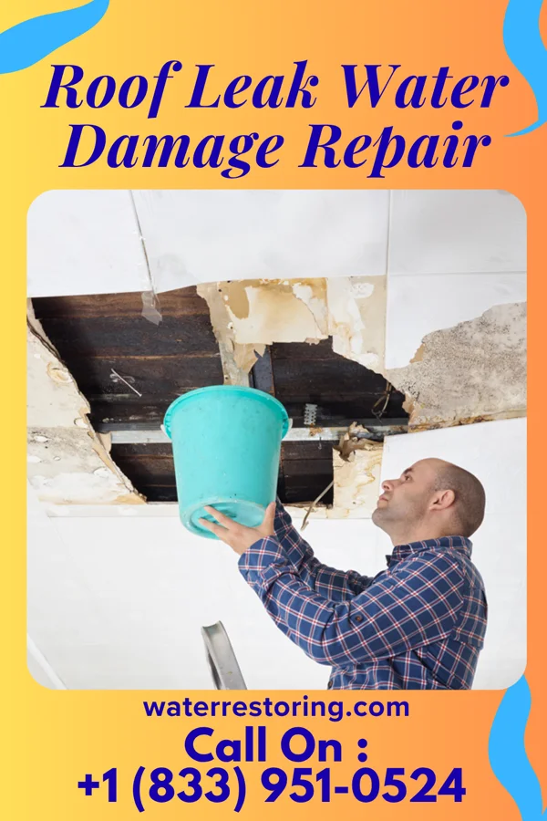 Roof Leak Water Damage Repair in Miami, OK